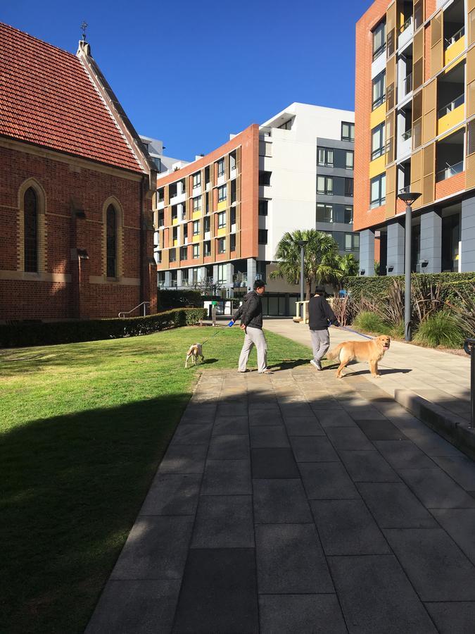 Panoramic Views In Luxurious Brand New Apartment Sydney Exterior photo